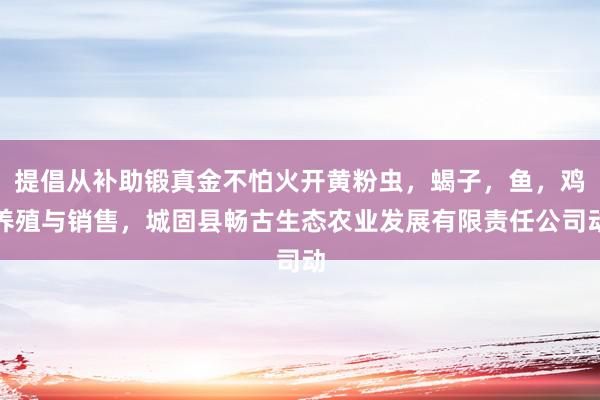 提倡从补助锻真金不怕火开黄粉虫，蝎子，鱼，鸡养殖与销售，城固县畅古生态农业发展有限责任公司动